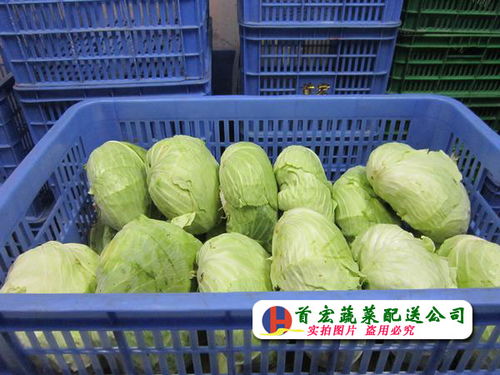 中堂農(nóng)副產(chǎn)品批發(fā)市場2017年3月17日交易動態(tài)與市場觀察